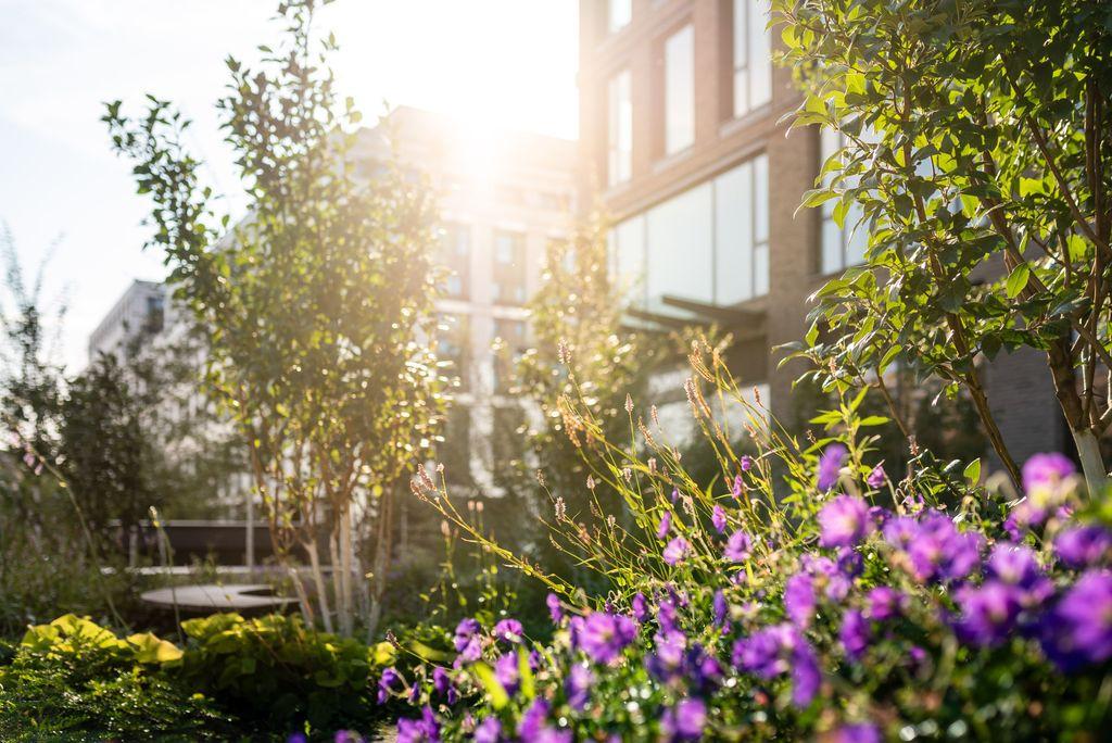 NOVA WALTROVKA-2024-lowres-1054.jpg